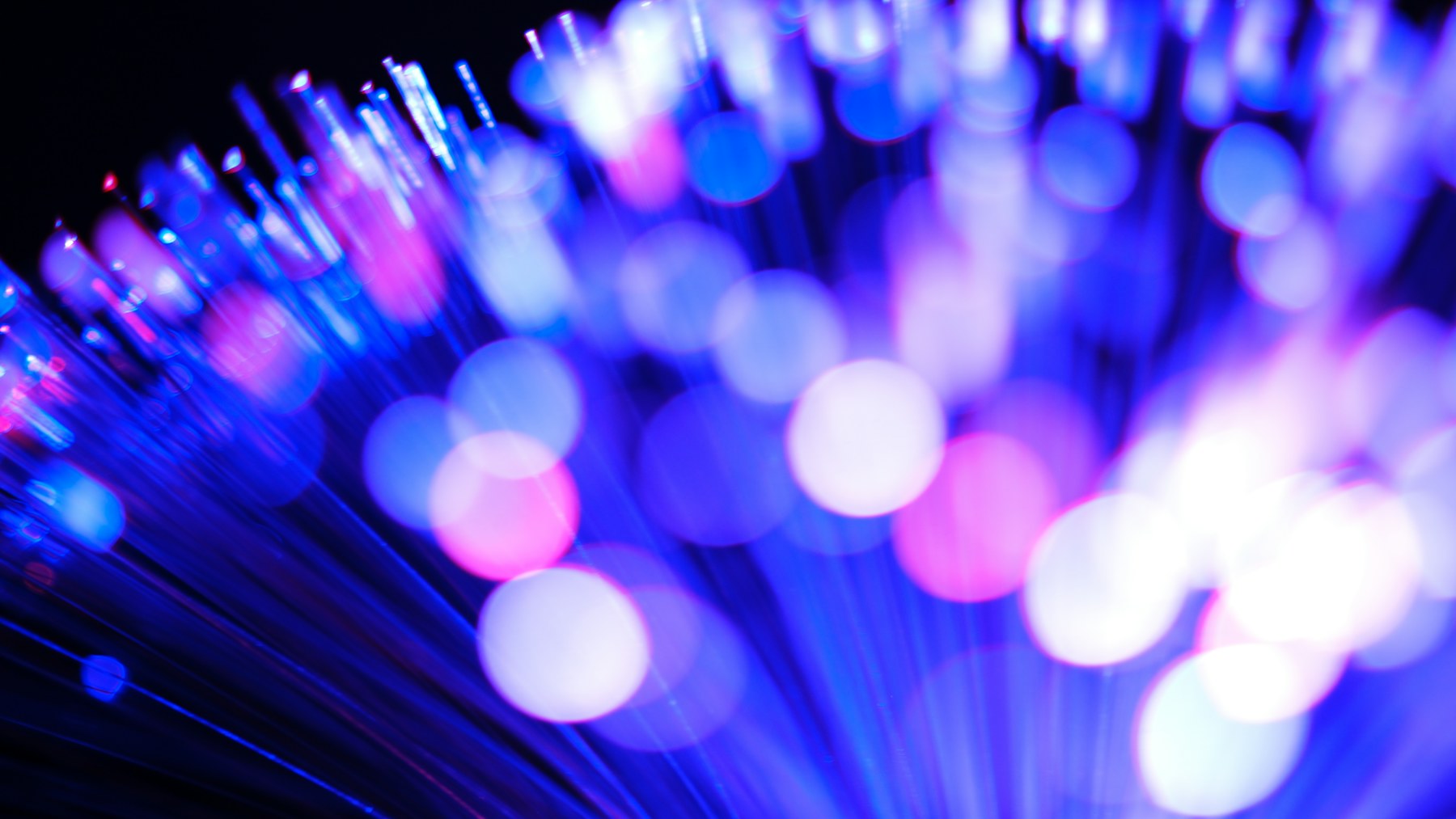 Blue and purple light glowing through fiber-optic strands