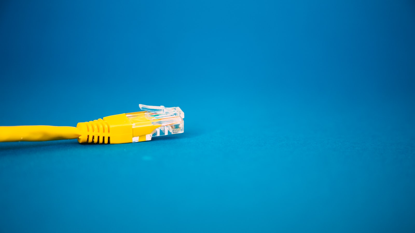 Yellow Ethernet cable on a blue surface