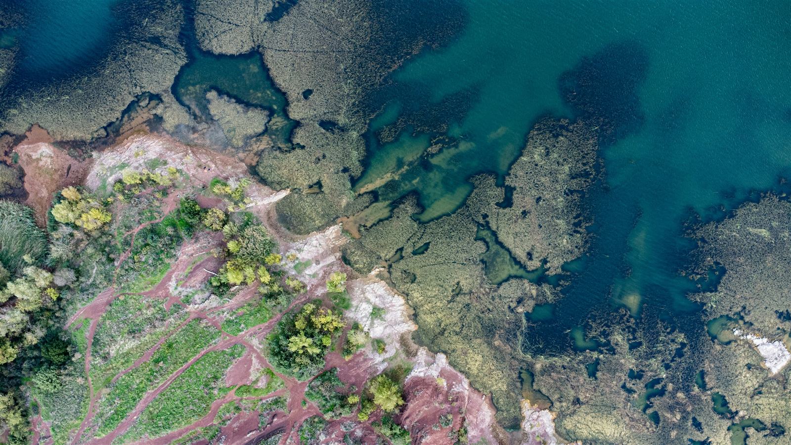 Aerial view of shallow blue-green water beside red shoreline terrain and tracks
